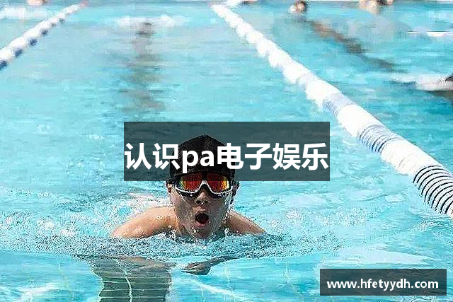 认识pa电子娱乐
